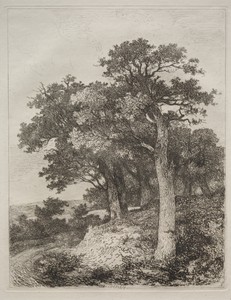 At Colney by John Crome, created 1783–1821, in etching. Download this artwork as a high-resolution wallpaper for desktop, tablet, or mobile. — John Crome Wallpaper