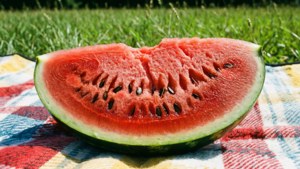 Saftig vandmelonskive på en picnic, august sommer sjov.