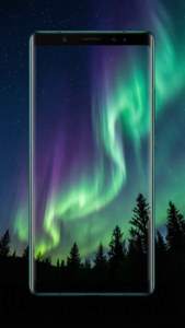 Smartphone screen showing aurora borealis over pine trees at night — Note 10 Background