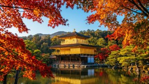 Kinkakuji omgiven av eldröda och orange lönnlöv på hösten
