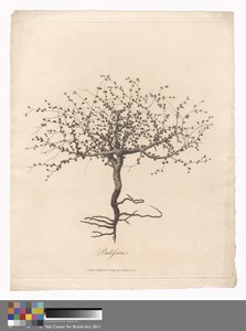 Balessan by James Heath, in Etching and engraving with hand coloring in watercolor on medium, slightly textured, cream wove paper. Download this artwork as a hi — James Heath Wallpaper