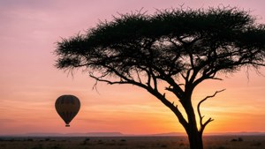 Serengeti-soloppgang med akasietre-silhuett og en varmluftsballong på den fargerike himmelen.