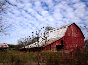 En rød lade med et rustent tag under en skyet himmel omgivet af tør vegetation. — Gamle Stald Wallpapers