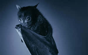 A bat with large eyes and folded wings stares intently in dim blue light.