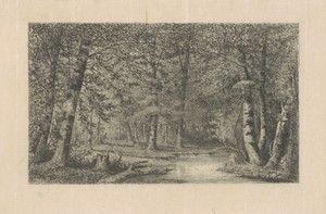 Beech Forest by Carl C. Brenner, created 1870s-1880s, in etching in black on laid paper. Download this artwork as a high-resolution wallpaper for desktop, table — Carl C. Brenner Wallpaper