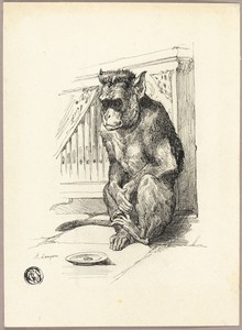 Begging Monkey by Auguste André Lançon, created n.d., in Pen and black ink on ivory wove paper. Download this artwork as a high-resolution wallpaper for desktop — Auguste André Lançon Wallpaper