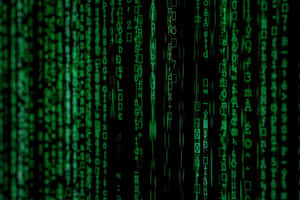 Green digital code falling like rain against a black background. — Binary Wallpaper