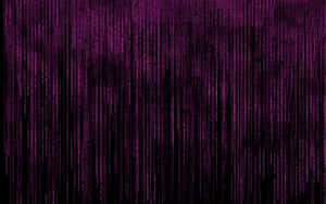 Purple digital code falling like rain against a black background. — Non Binary Wallpaper