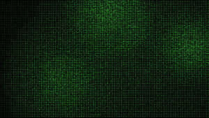 Green digital code cascading down a black screen like in the Matrix. — Non Binary Wallpaper