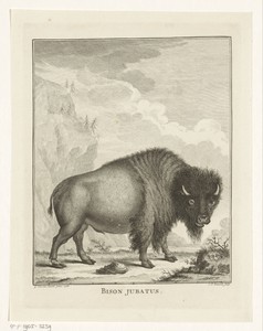 Bizon by Christian Friedrich Fritzsch, created 1766 - 1774, in paper; etching. Download this artwork as a high-resolution wallpaper for desktop, tablet, or mobi — Christian Friedrich Fritzsch Wallpaper