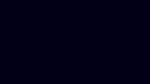 Fondo negro sólido sin elementos visibles.