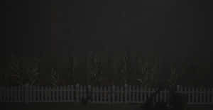Cerca blanca de estacas frente a un alto campo de maíz bajo cielo nocturno estrellado con niebla — Imágenes de gatito Imágenes