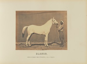 Blanco by Adrien Alban Tournachon, created 1860. Download this artwork as a high-resolution wallpaper for desktop, tablet, or mobile. — Painting Picture
