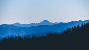 Blå bergskedja med skogssilhuett under klar himmel — Blue Mountains Bakgrundsbilder