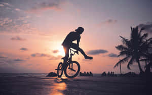 Bmx-cyklist silhuett mot solnedgång på strand med palmer och hav — Bmx Bilder