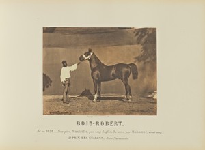 Bois-Robert by Adrien Alban Tournachon, created 1860. Download this artwork as a high-resolution wallpaper for desktop, tablet, or mobile. — Art Picture