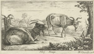Bokken by Albert Flamen, created 1648 - 1691, in paper; etching. Download this artwork as a high-resolution wallpaper for desktop, tablet, or mobile. — Albert Flamen Wallpaper