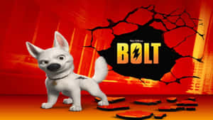 White animated dog with lightning bolt tattoo standing before cracked wall with 'BOLT' logo. — Bolt Wallpaper