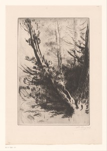 Bomen by Alphonse Legros, created 1847 - 1911, in paper; intaglio printmaking technique; drypoint. Download this artwork as a high-resolution wallpaper for desk — Alphonse Legros Wallpaper
