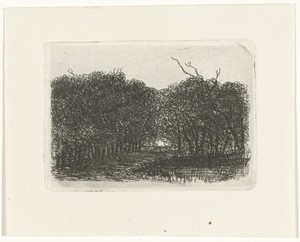 Bosgezicht by Joseph Hartogensis, created c. 1837 - 1865, in paper; chine collé; etching. Download this artwork as a high-resolution wallpaper for desktop, tabl — Joseph Hartogensis Wallpaper