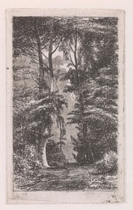 Boslaan by Jacob Jan van der Maaten, created 1851, in paper; chine collé; etching. Download this artwork as a high-resolution wallpaper for desktop, tablet, or — Nature Picture