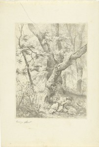 Boslandschap by Pierre Louis Dubourcq, created 1830 - 1858, in paper; etching; drypoint. Download this artwork as a high-resolution wallpaper for desktop, table — Nature Picture