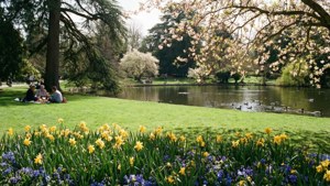 Botanic Gardens Spring