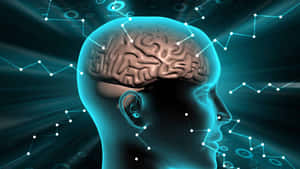 Sagoma traslucida di testa che mostra cervello con connessioni neurali blu luminose e flussi di dati. — Immagine del cervello Immagine
