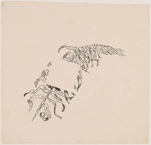 Branch by James Henry Moser, created 1892, in offset lithograph in black on wove paper. Download this artwork as a high-resolution wallpaper for desktop, tablet