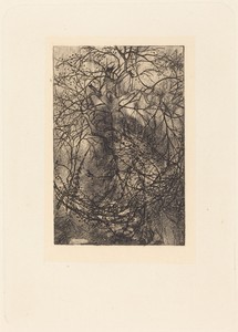 Branches by Rodolphe Bresdin, in etching. Download this artwork as a high-resolution wallpaper for desktop, tablet, or mobile. — Art Picture