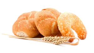 Freshly baked bread rolls and a sesame bun with wheat stalk on white background. — Bread Picture