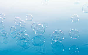 Transparent bubbles floating on a reflective blue surface. — Aesthetic Bubbles Picture