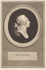 Buffon by Augustin de Saint-Aubin, created 1798, in engraving over etching on laid paper. Download this artwork as a high-resolution wallpaper for desktop, tabl — Augustin de Saint-Aubin Wallpaper