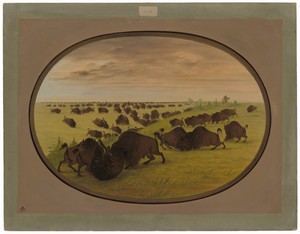 Bulls Fighting by George Catlin, created 1861/1869, in oil on card mounted on paperboard. Download this artwork as a high-resolution wallpaper for desktop, tabl — George Catlin Wallpaper
