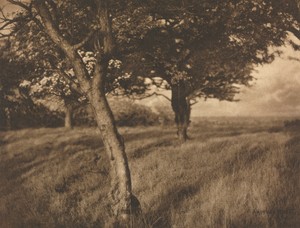 Camera Work: Beyond by A. Horsley Hinton, created 1905, in photogravure. Download this artwork as a high-resolution wallpaper for desktop, tablet, or mobile. — A. Horsley Hinton Wallpaper