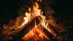 Feu de camp douillet avec des flammes vives et des étincelles.