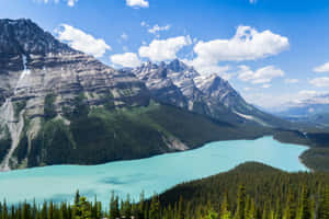 Turquoise lake surrounded by snow-capped mountains and dense forests under a blue sky. — Canadian Picture