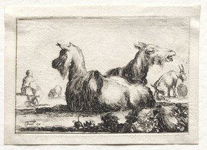 Caprices:  Two Goats by Stefano della Bella, created c. 1642, in etching. Download this artwork as a high-resolution wallpaper for desktop, tablet, or mobile. — Art Picture