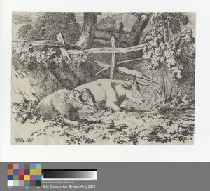 Cattle Resting by Robert Hills, in Lithograph on moderately thick, moderately textured, gray laid paper. Download this artwork as a high-resolution wallpaper fo — Art Picture