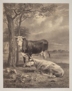 Cattle Ruminating by Joseph Foxcroft Cole, created 1870, in lithograph. Download this artwork as a high-resolution wallpaper for desktop, tablet, or mobile.