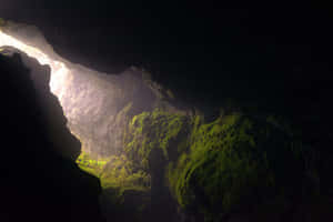 La luce del sole entra in una grotta evidenziando muschio verde rigoglioso sulle pareti rocciose. — Natura Oscura Sfondi