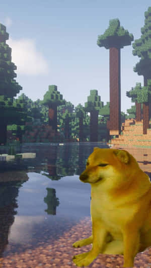 Shiba Inu-Hund an Minecraft-See mit blockartigen Bäumen und klarem Himmel — Terrier Bilder