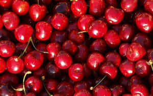 Un montón de cerezas rojas brillantes con tallos verdes. — Lindo Feliz Fondos de pantalla