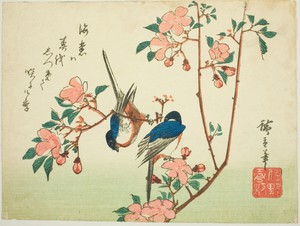 Cherry branch and Swallow (Java) by Utagawa Hiroshige, created About 1840, in Color woodblock print; horizontal aiban. Download this artwork as a high-resolutio