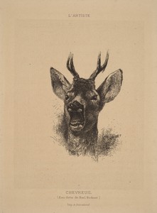 Chevreuil by Karl Bodmer, in etching. Download this artwork as a high-resolution wallpaper for desktop, tablet, or mobile. — Karl Bodmer Wallpaper