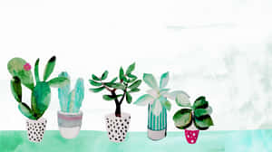 Fünf illustrierte Topfpflanzen in gemusterten Töpfen auf einem tealfarbenen Regal vor einem weißen Hintergrund. — Cactus Desktop Wallpaper
