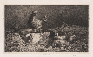 Chickens by Charles Emile Jacque, created 1867, in etching on chine collé. Download this artwork as a high-resolution wallpaper for desktop, tablet, or mobile. — Charles Emile Jacque Wallpaper