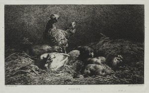 Chickens by Charles Emile Jacque, created 1867, in etching. Download this artwork as a high-resolution wallpaper for desktop, tablet, or mobile. — Charles Emile Jacque Wallpaper