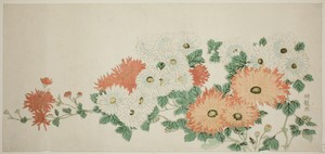 Chrysanthemums by Isoda Koryusai, created c. 1780, in Color woodblock print; nagaban surimono. Download this artwork as a high-resolution wallpaper for desktop,