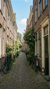 Eine charmante enge Straße in Alkmaar mit Fahrrädern, Blumen und einer Katze im Sommer.